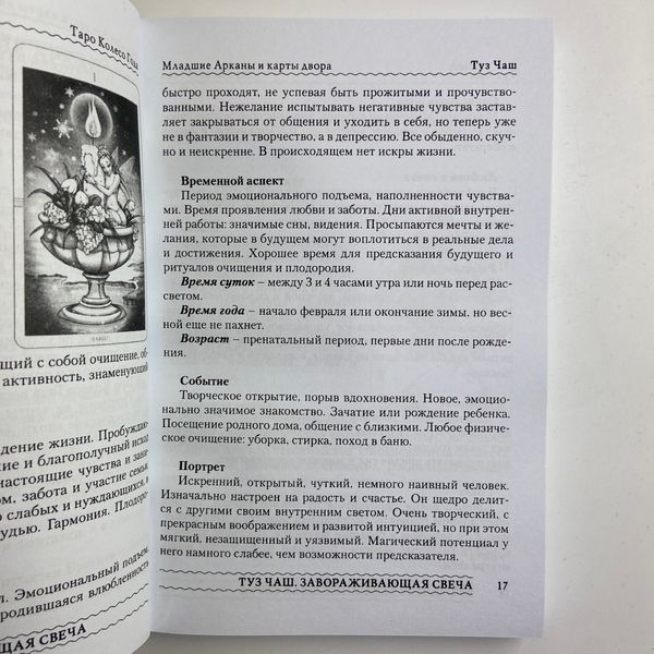 Книга Колесо Року, калейдоскоп часів та цифр (Наталія Шадріна) BTR-B-206 BTR-B-206 фото