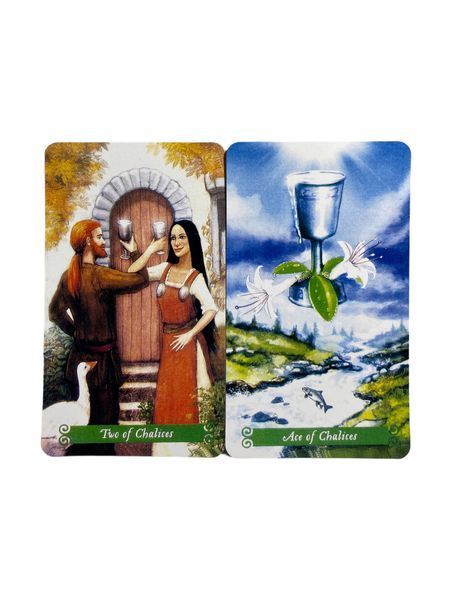 Таро Зеленої Відьми (The Green Witch Tarot) BTR-B-294 BTR-B-294 фото