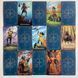 Таро Современного Заклинателя, уменьшенная (Modern Spellcasters Tarot) TR-B-477 BTR-B-477 фото 3