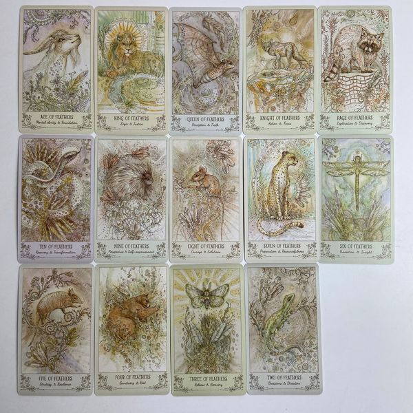 Таро Пісні Духів, зменшена (Spiritsong Tarot) BTR-B-455 BTR-B-455 фото