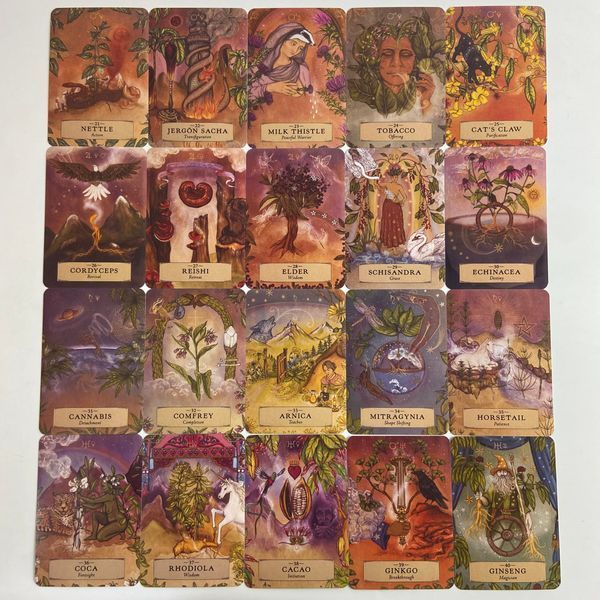Оракул Травяной Астрологии (Herbal Astrology Oracle Cards) TR-B-682 BTR-B-682 фото