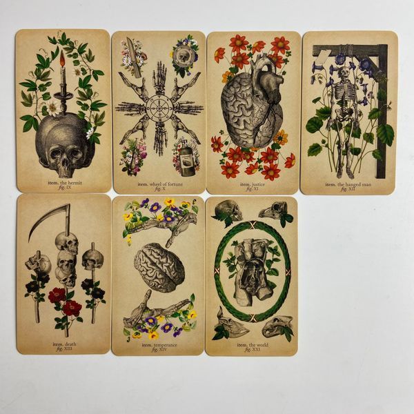 Таро Античной Анатомии, уменьшенная (Antique Anatomy Tarot) BTR-B-394 BTR-B-394 фото