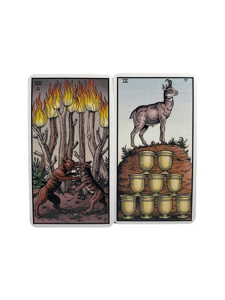 Карты таро &ndash; Алхимическое, Роберта Плейса (Alchemical Tarot) TR-B-263 BTR-B-263 фото