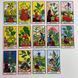 Таро Трав, зменшена (Herbal Tarot) BTR-B-349 BTR-B-349 фото 6